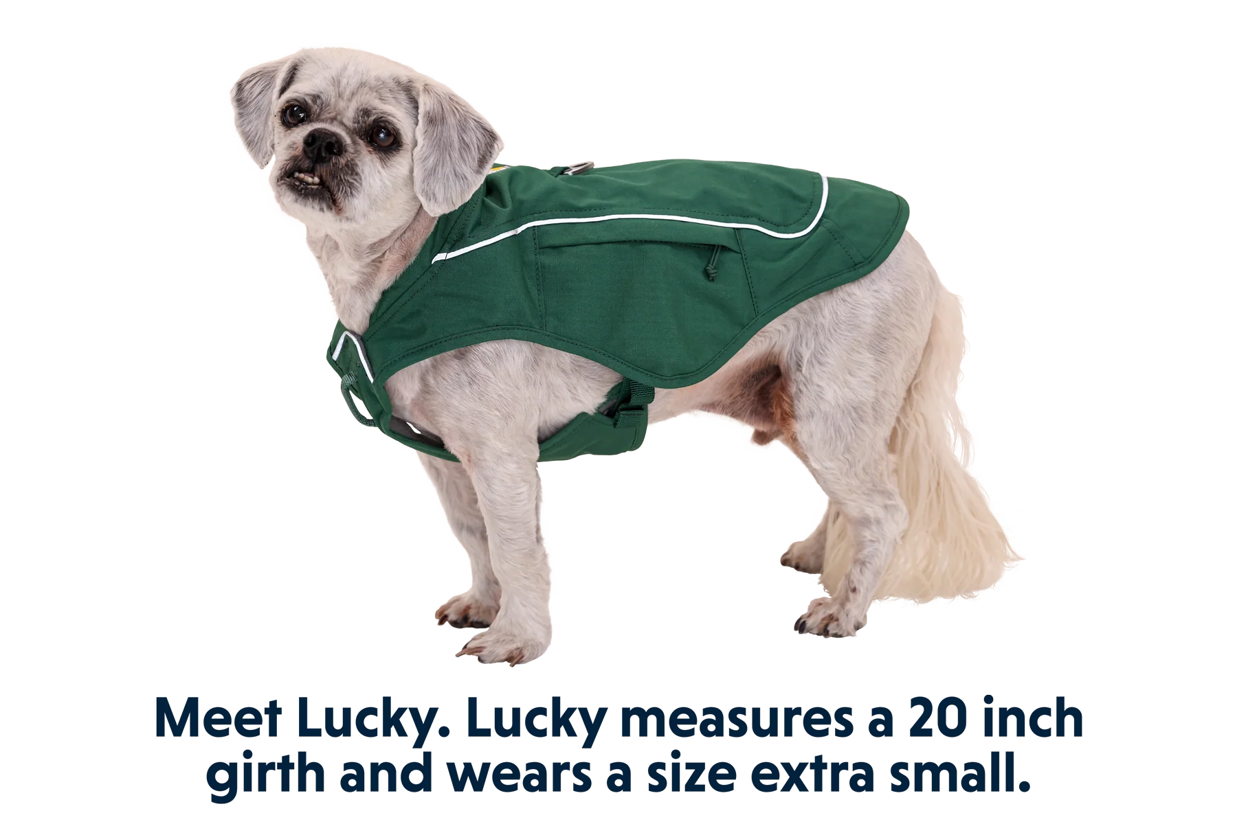 Thumbnail 18