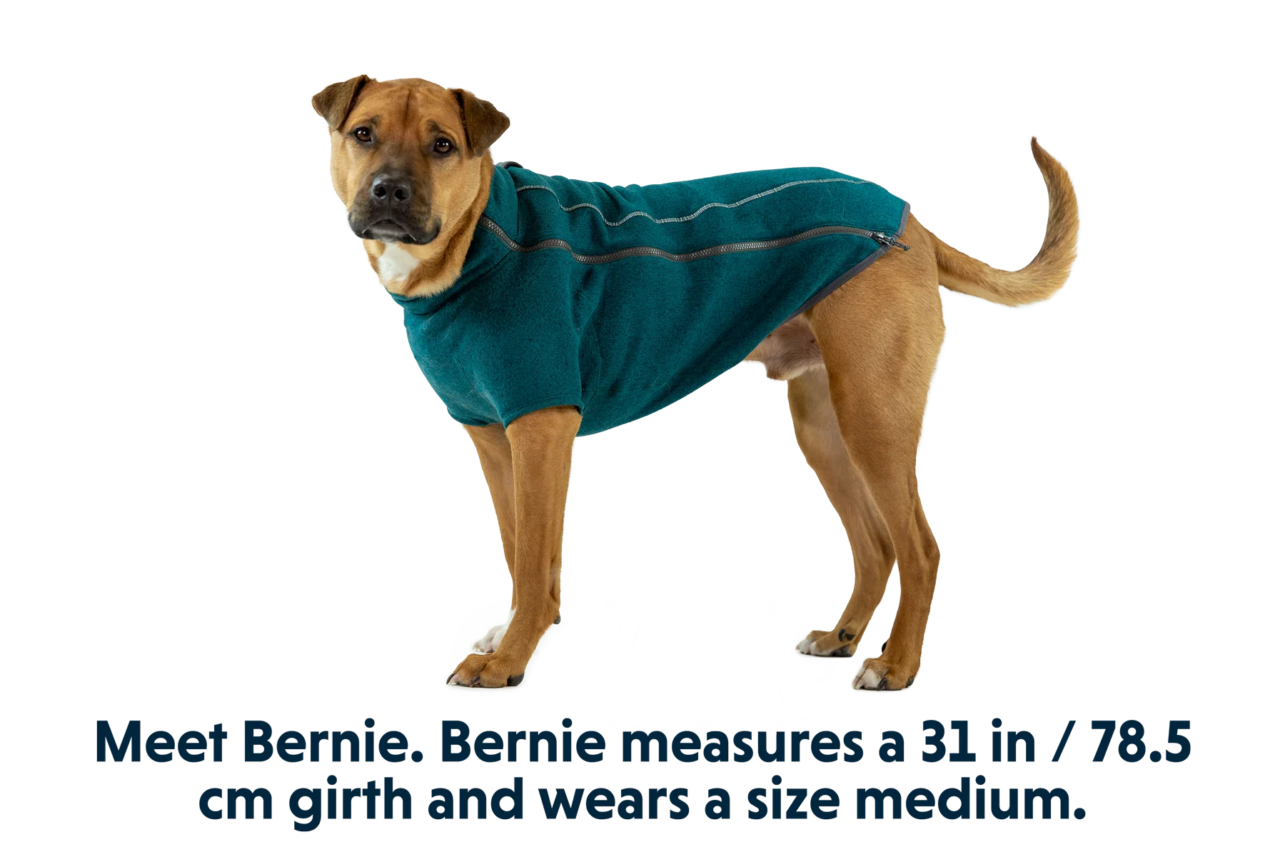 Thumbnail 12